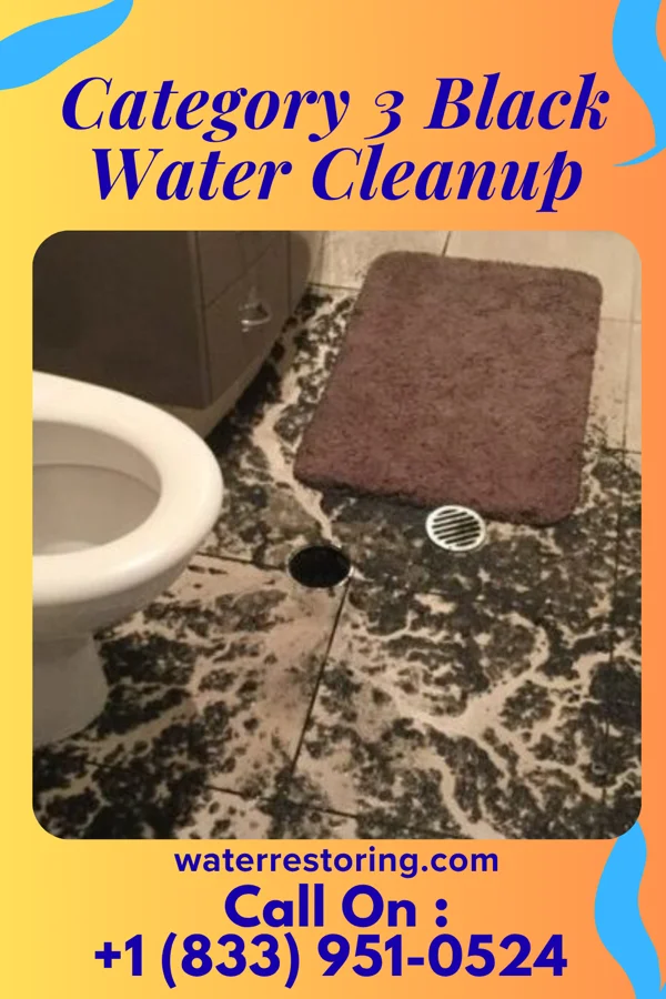 Category 3 Black Water Cleanup in Fowlerville, MI
